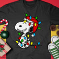 05.jpg