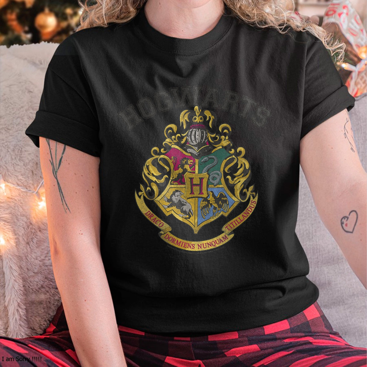 a1.jpg
