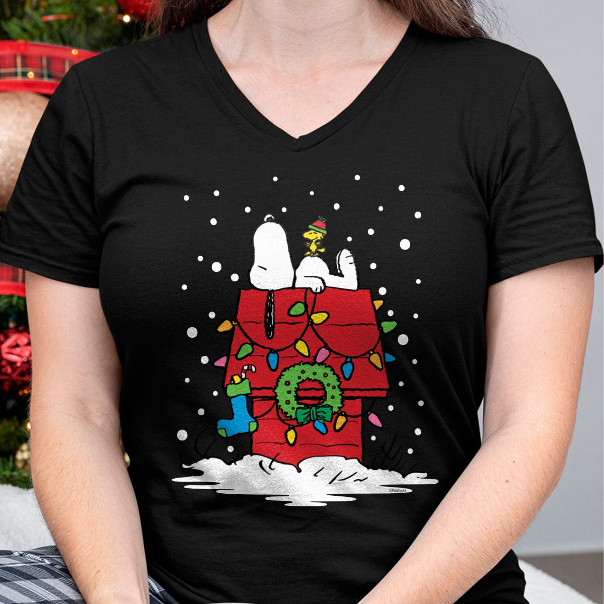 b1.jpg